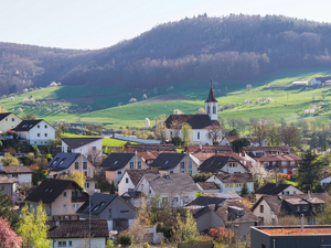 Désinsectisation dératisation Forbach